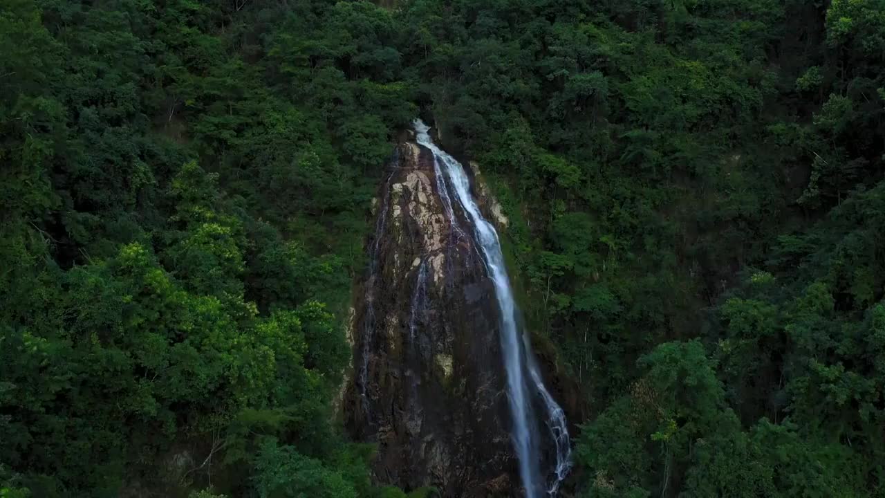 森林中瀑布视频素材