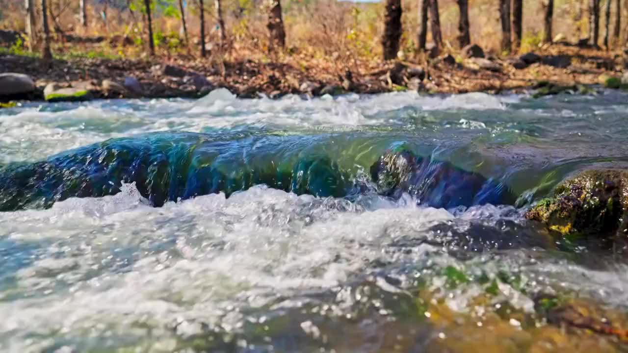 水泉水河流河水山泉水酒酿酒溪流泉水视频素材