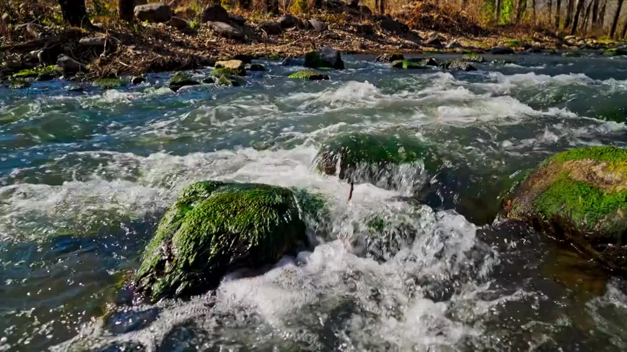 水泉水河流河水山泉水酒酿酒溪流泉水视频素材