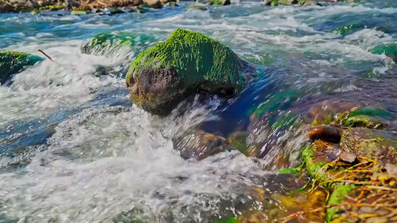 水泉水河流河水山泉水酒酿酒溪流泉水视频素材