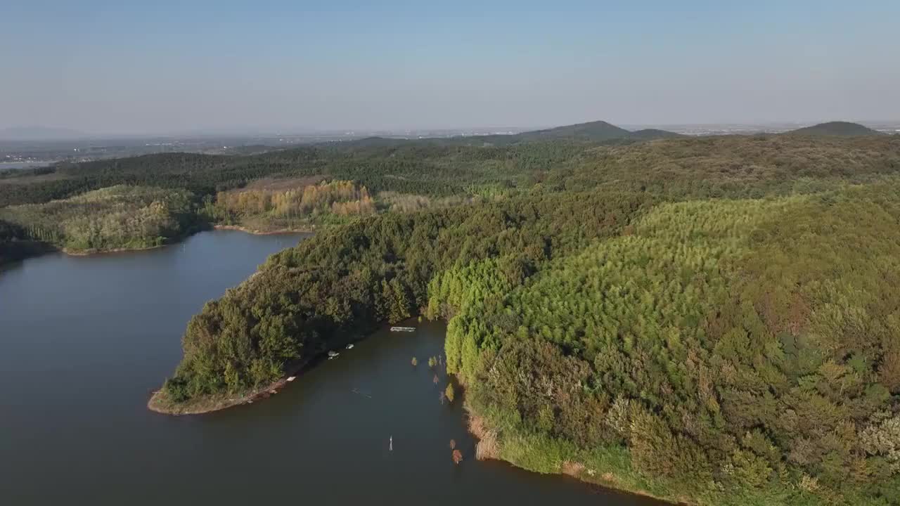 秋日山林视频素材