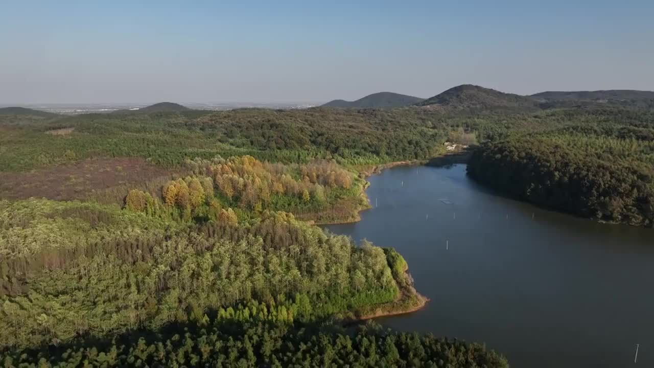 秋日山林视频素材