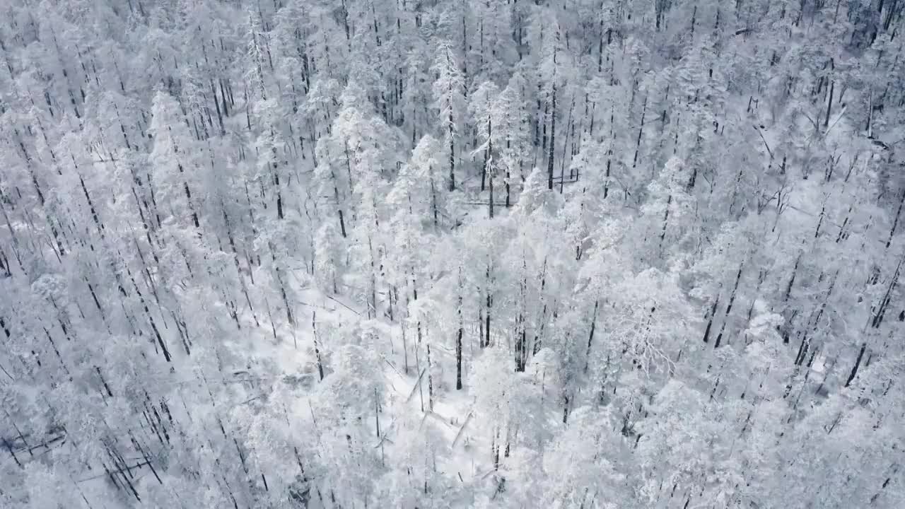 云南丽江玉龙雪山航拍雪景视频素材