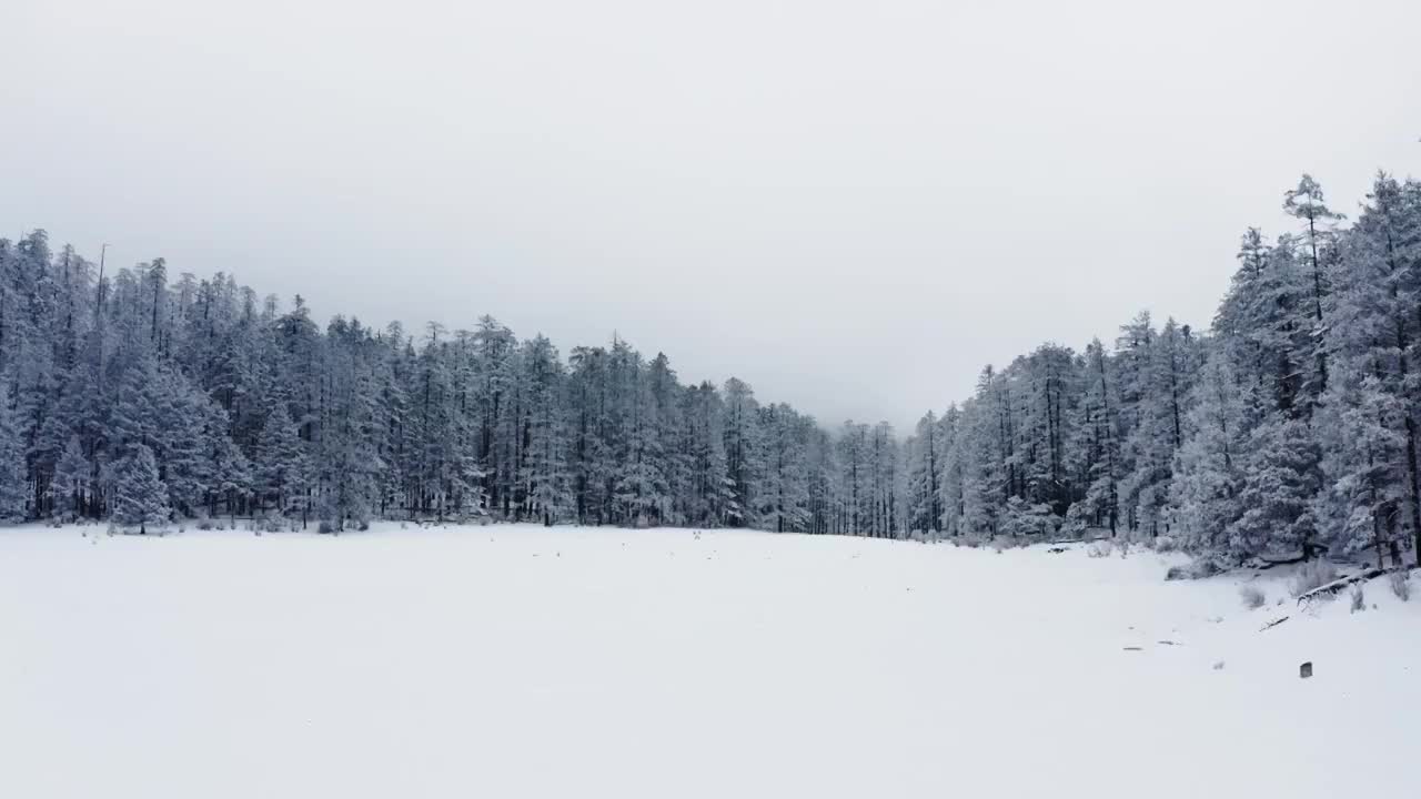 云南丽江玉龙雪山航拍雪景视频素材