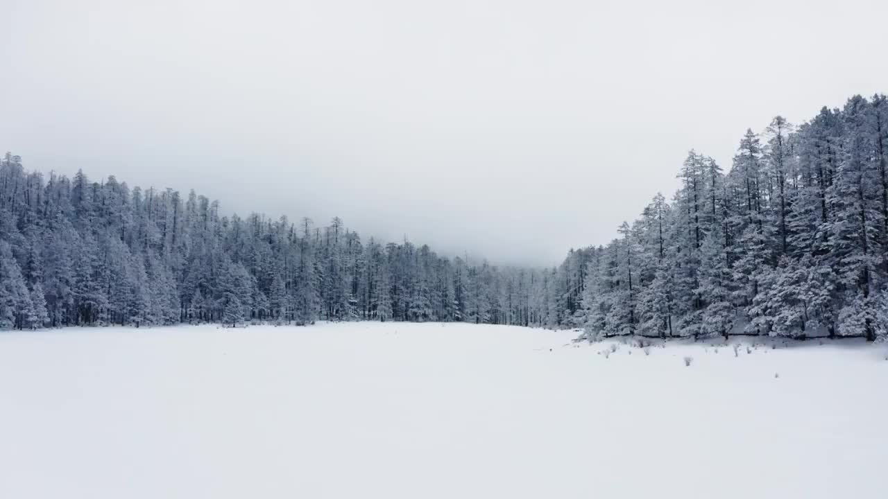 云南丽江玉龙雪山航拍雪景视频素材