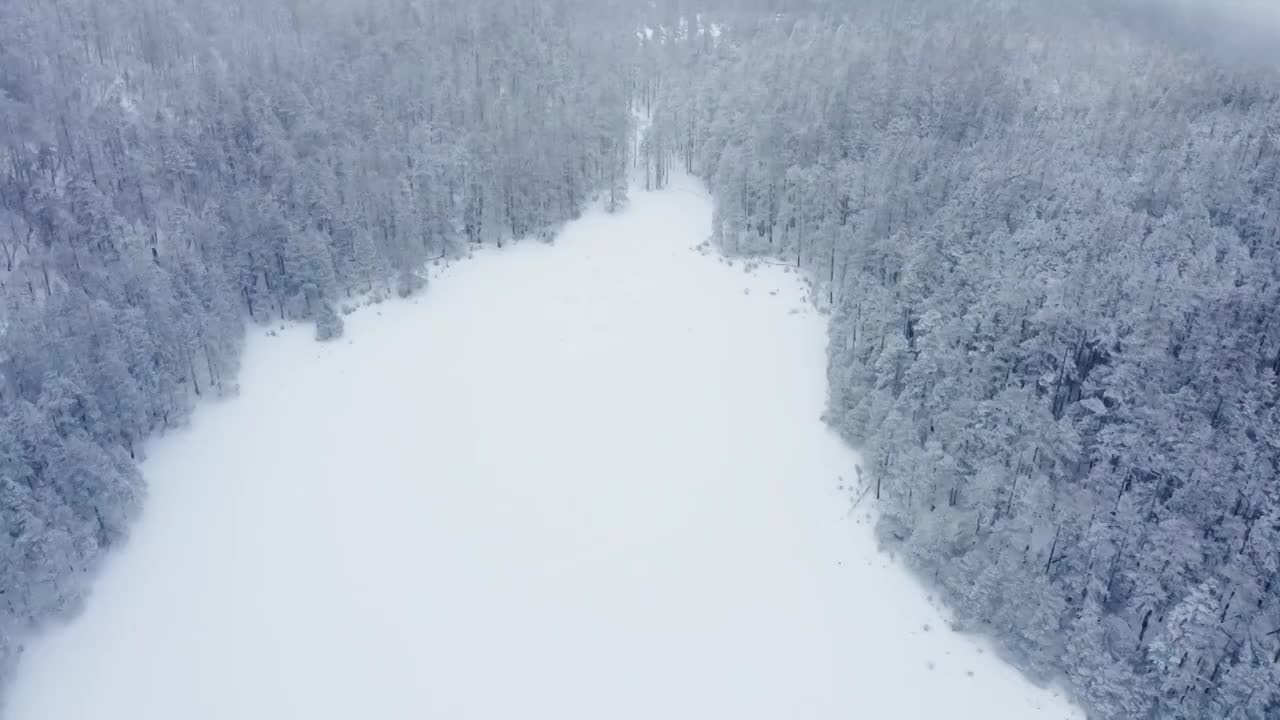 云南丽江玉龙雪山航拍雪景视频素材