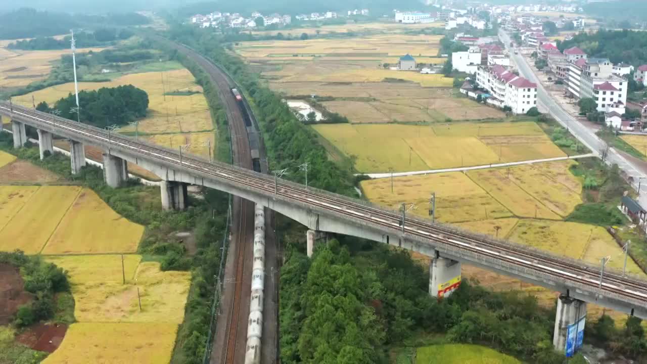 穿超乡村金色田野上的火车4K航拍视频视频素材