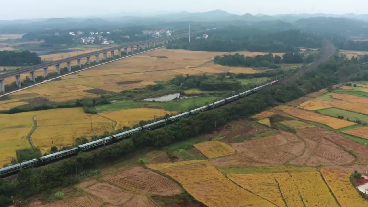 穿超乡村金色田野上的火车4K航拍视频视频素材