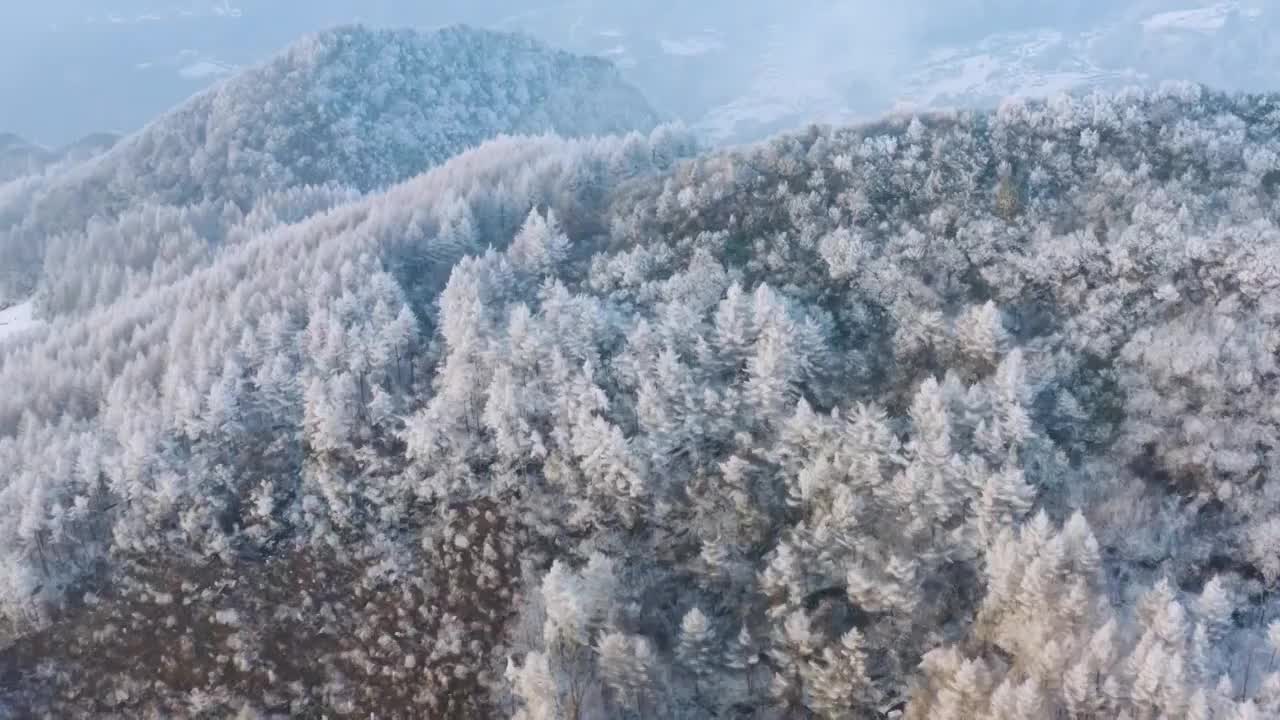 4k航拍恩施雪山雾凇风光视频素材