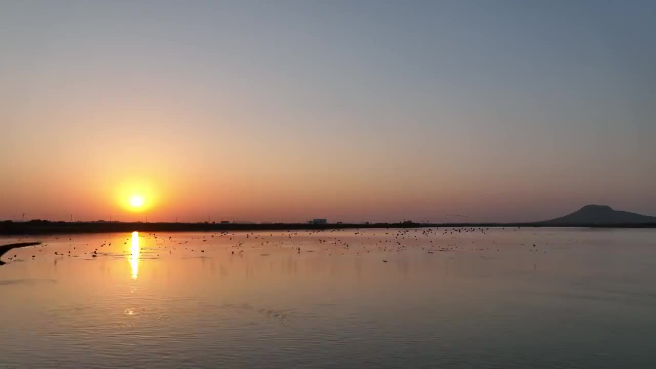 夕阳下飞行的野鸭群视频素材