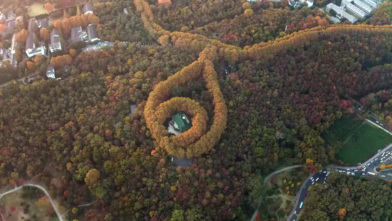 南京市钟山风景区美龄宫秋景航拍视频素材