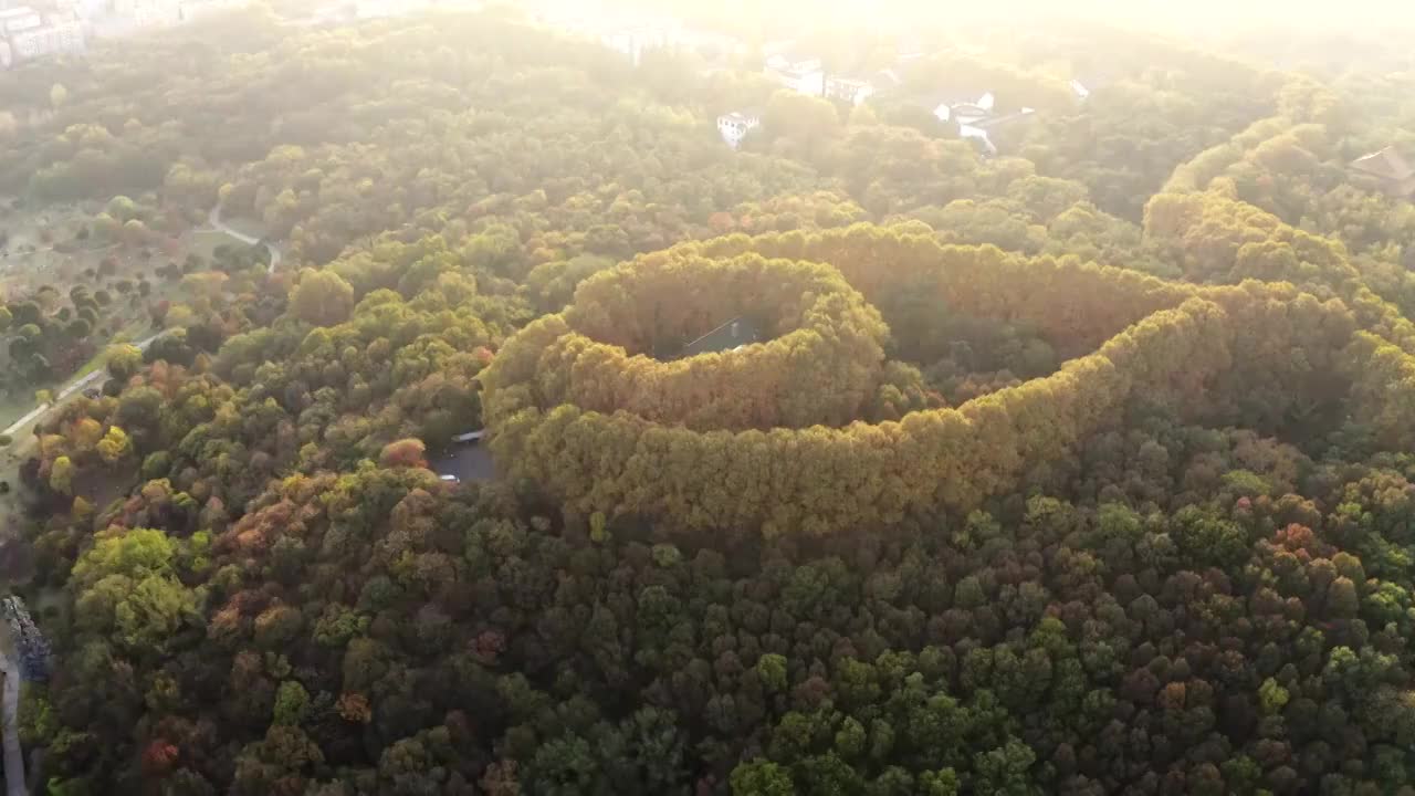 南京市钟山风景区美龄宫秋景航拍视频素材