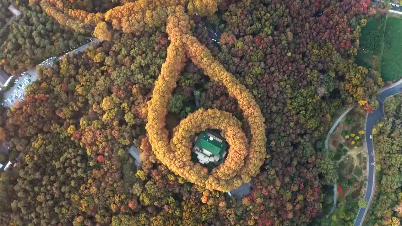 南京市钟山风景区美龄宫秋景航拍视频素材