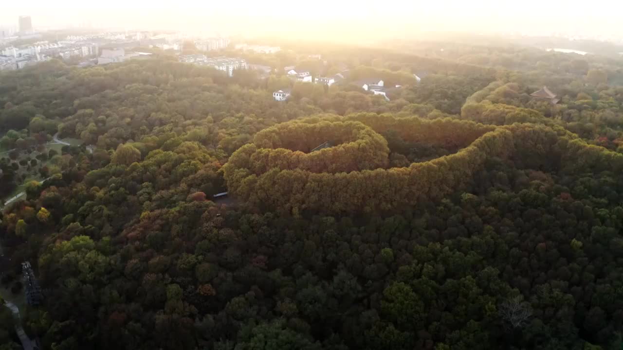 南京市钟山风景区美龄宫秋景航拍视频素材