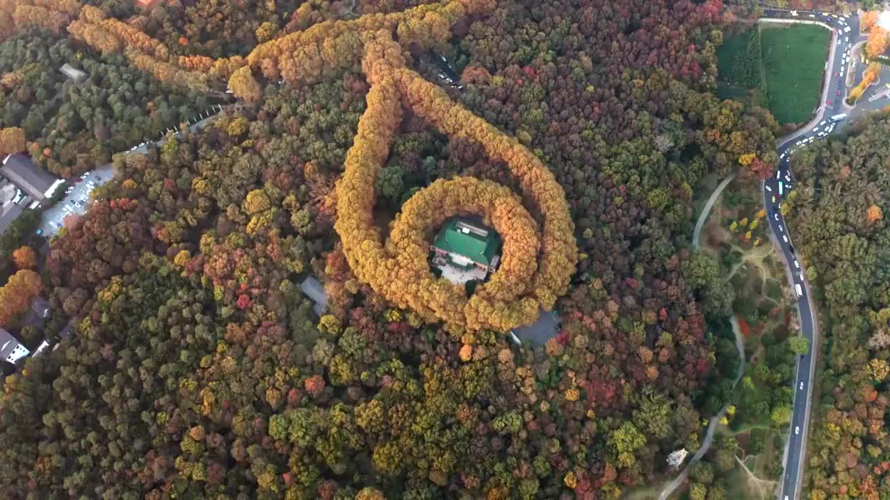 南京市钟山风景区美龄宫秋景航拍视频素材