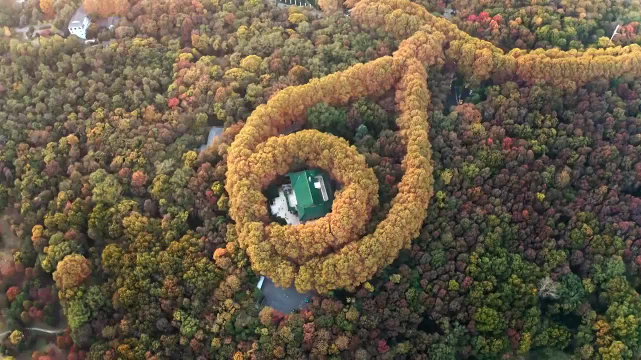 南京市钟山风景区美龄宫秋景航拍视频素材