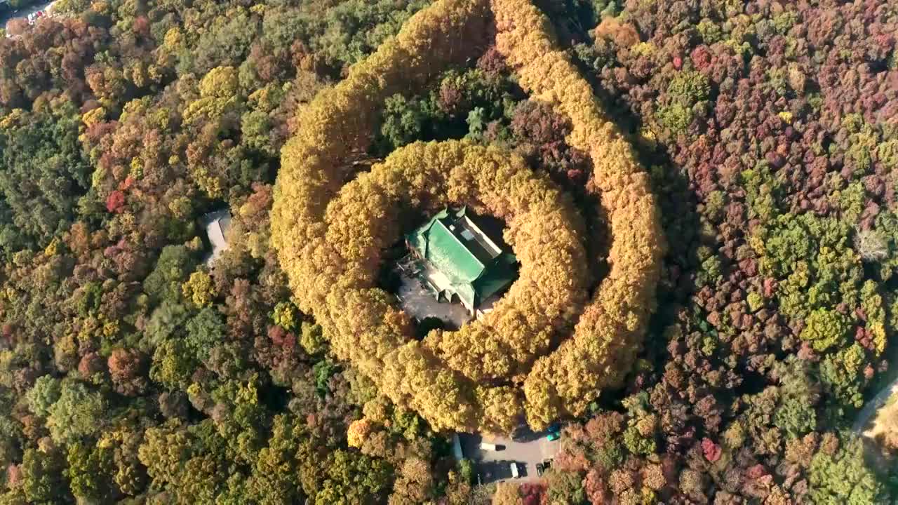 南京市钟山风景区美龄宫秋景航拍视频素材