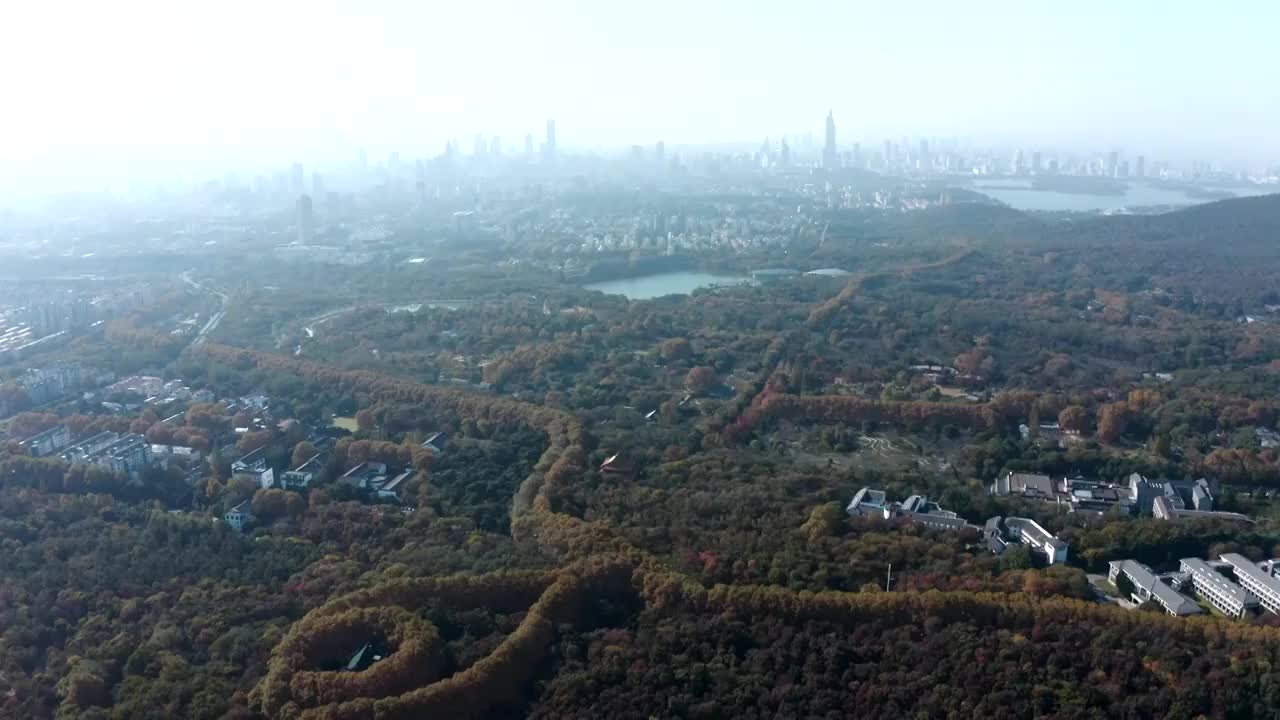 南京市钟山风景区美龄宫秋景航拍视频素材