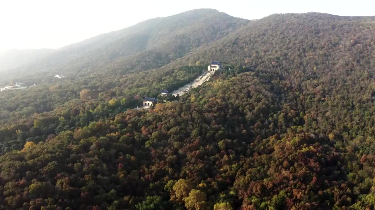 南京市钟山风景名胜区中山陵景区秋景航拍视频素材