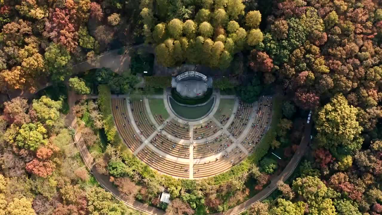 南京市钟山风景名胜区南京音乐台秋景航拍视频素材