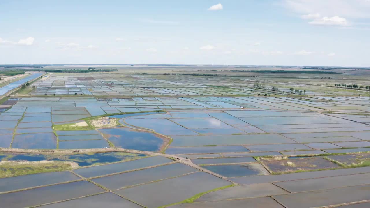  航拍黑龙江省大庆市杜尔伯特蒙古族自治县春季水稻田视频素材