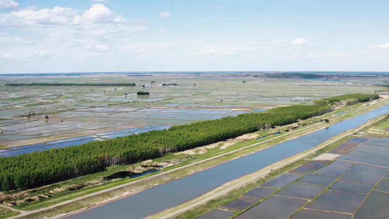  航拍黑龙江省大庆市杜尔伯特蒙古族自治县春季水稻田视频素材