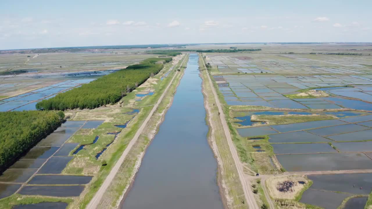  航拍黑龙江省大庆市杜尔伯特蒙古族自治县春季水稻田视频素材