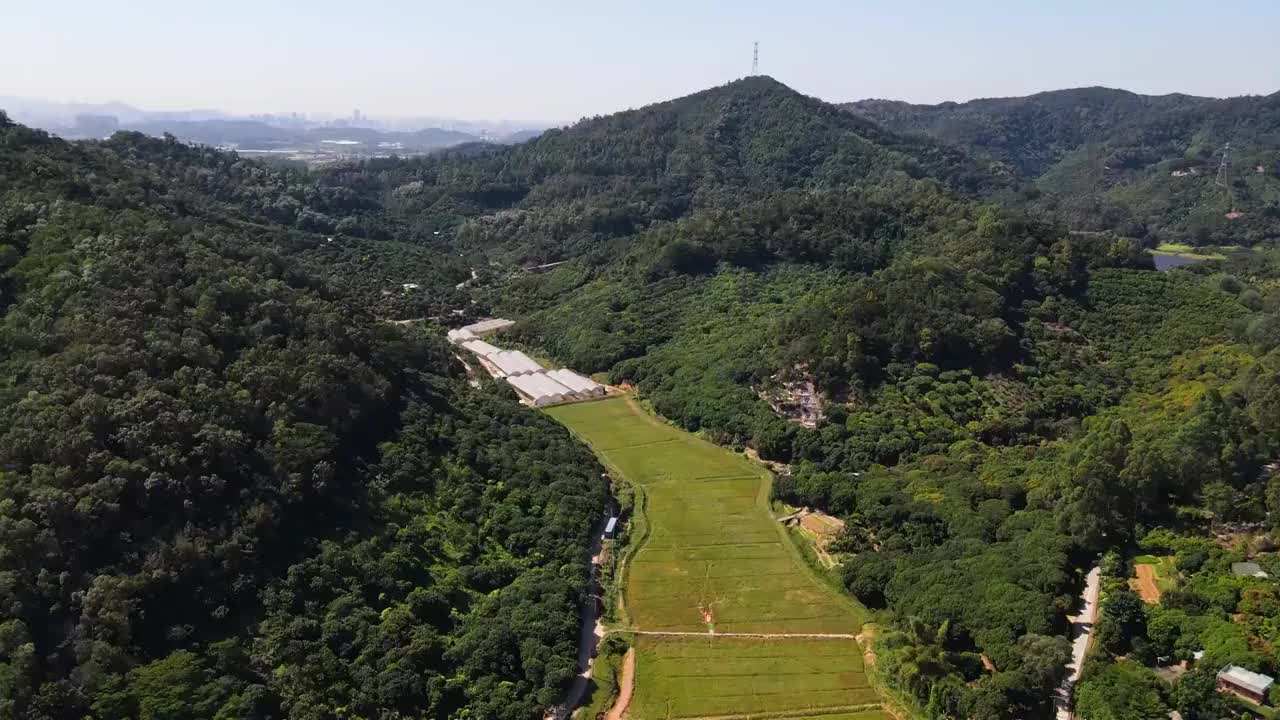 中国广东省东莞蝴蝶地水库周边山脉视频素材