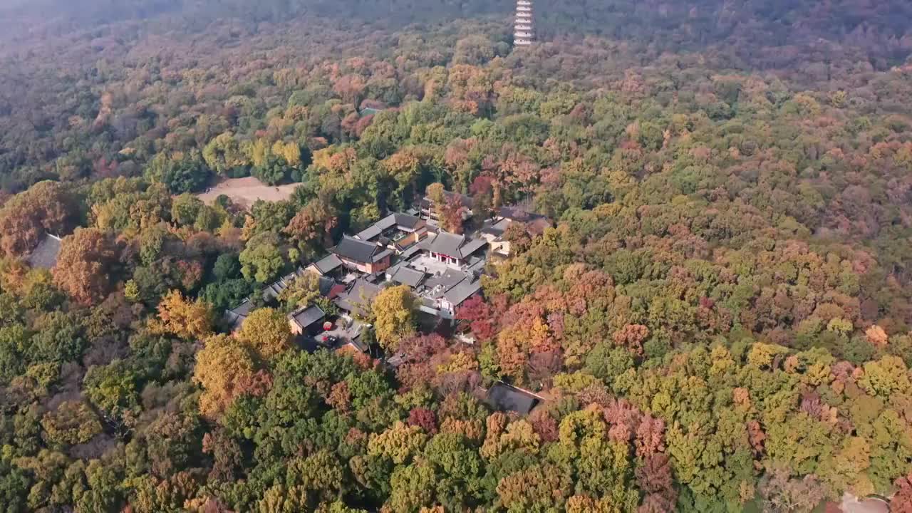 紫金山灵谷寺五彩斑斓的秋色视频素材