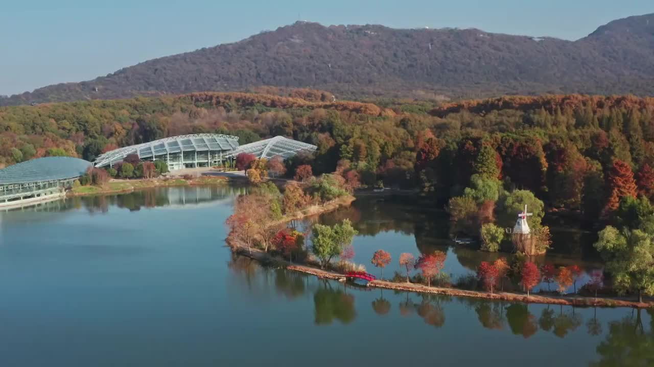 紫金山植物园秋色视频素材