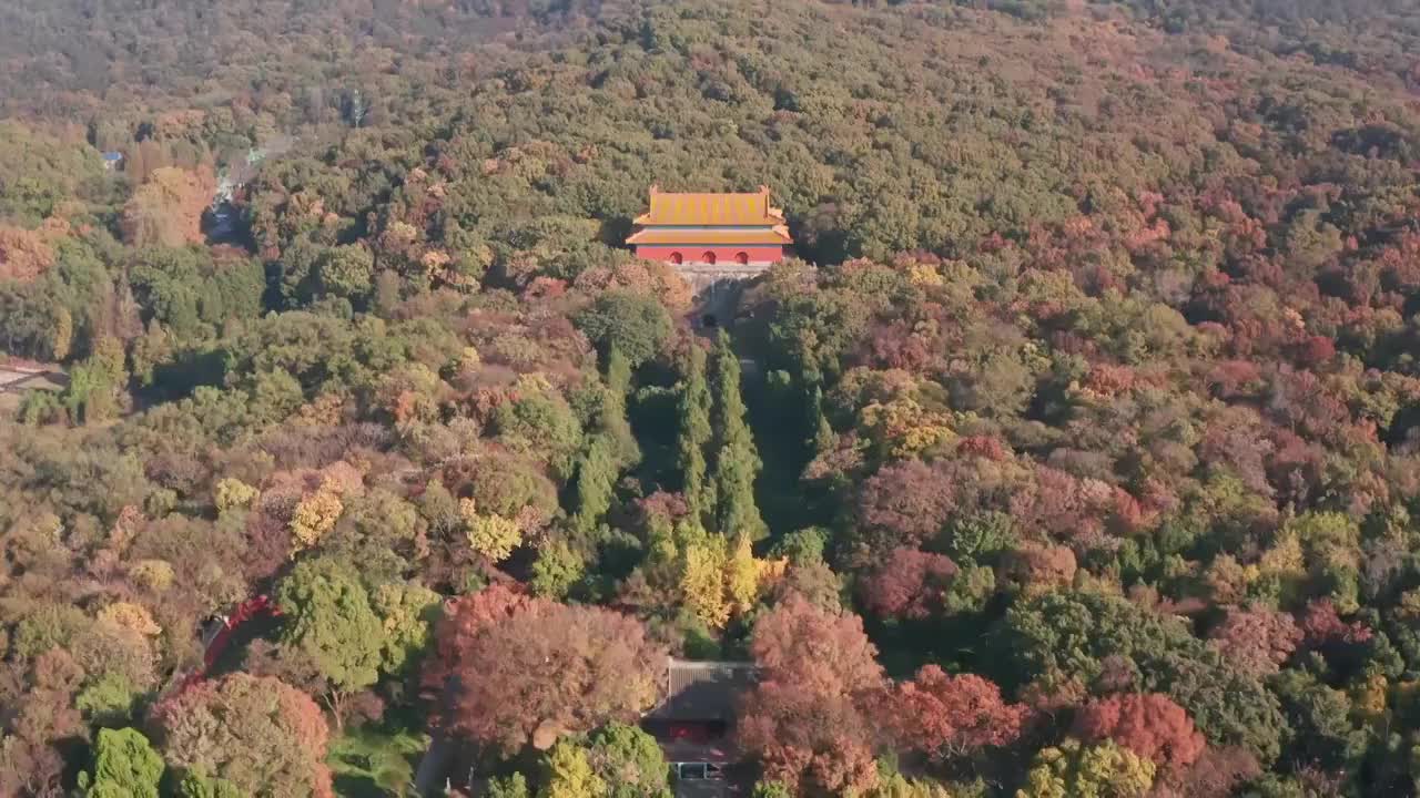 秋天的紫金山明孝陵层林尽染视频素材