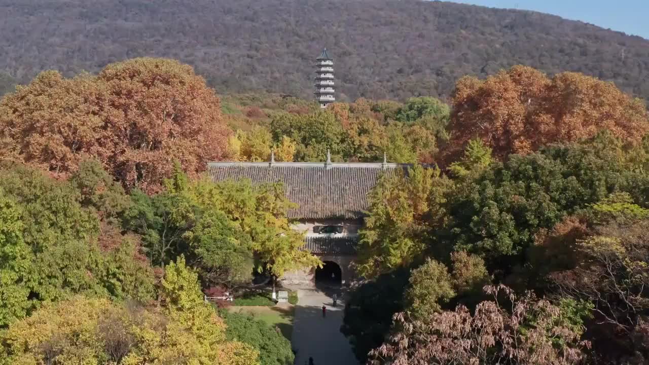 南京紫金山灵谷寺秋色视频素材