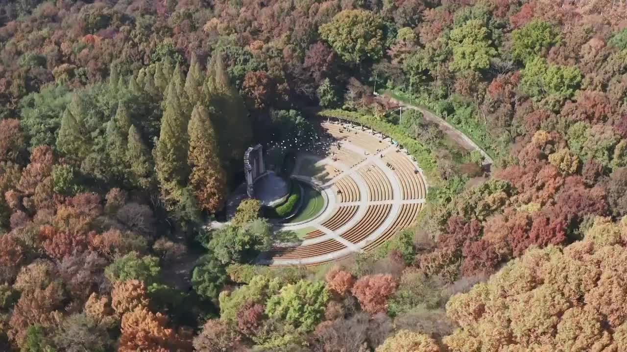 秋天的中山陵音乐台，鸽群自由飞翔视频素材