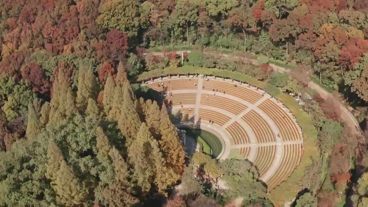 鸽子飞行在秋天的中山陵音乐台视频素材