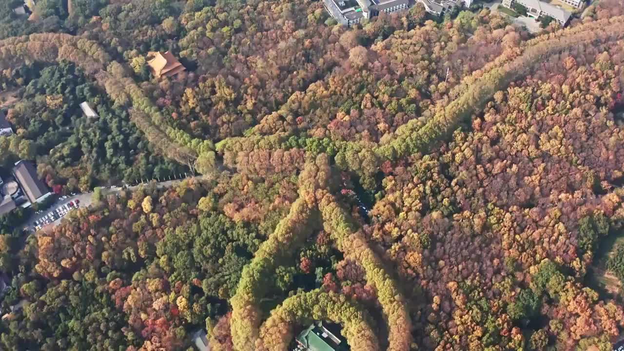 秋天的美龄宫五彩斑斓视频素材