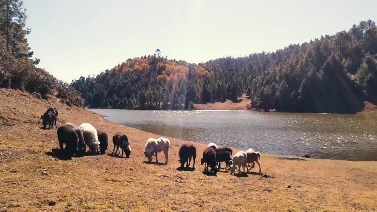 云南省兰坪富和景区风光视频素材