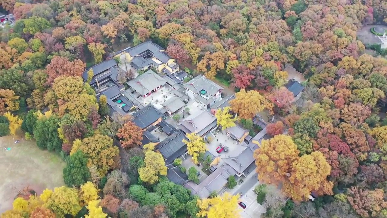 秋季南京灵谷寺景区，灵谷寺的秋色风光视频素材