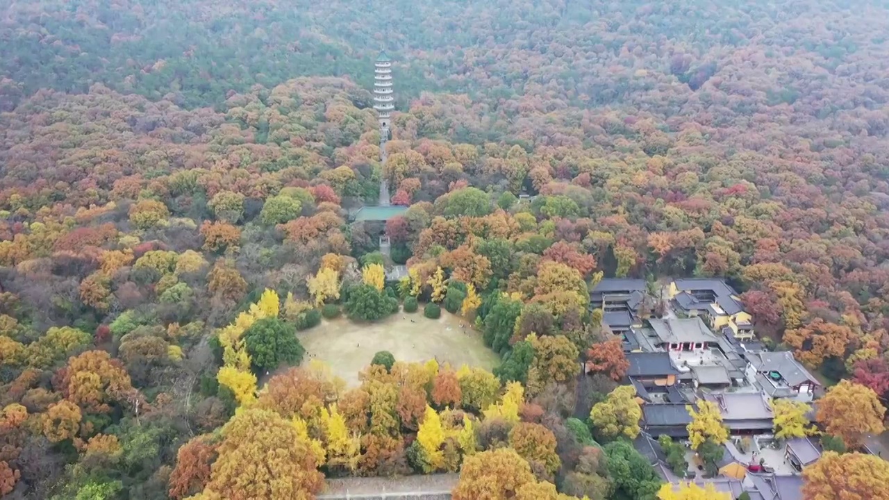 秋季的南京灵谷寺景区的航拍风光视频素材