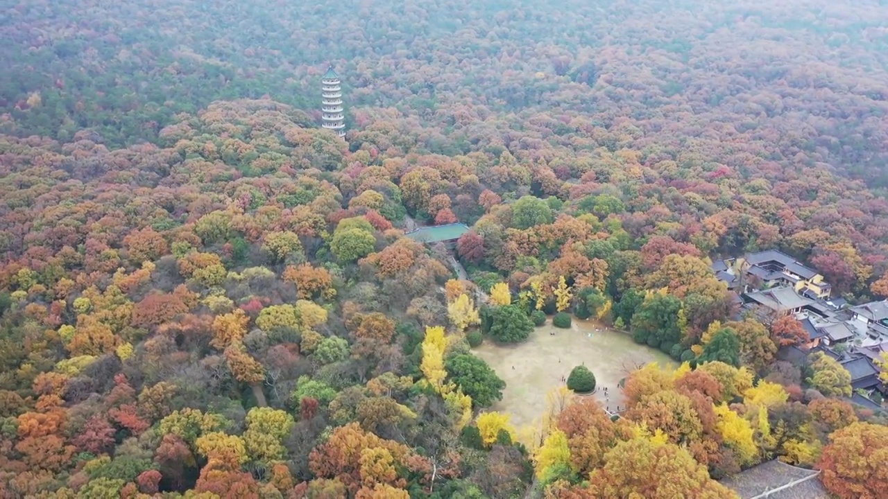 秋季南京灵谷寺景区，灵谷寺的秋色风光视频素材