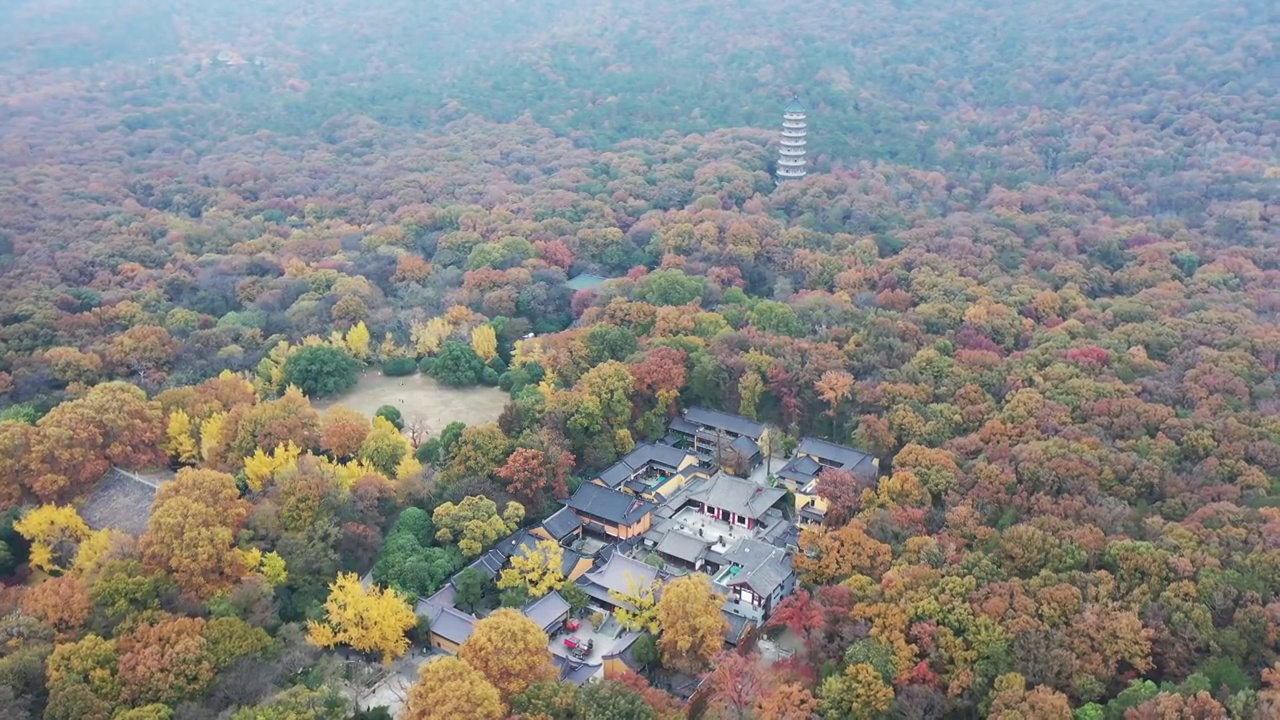 秋意浓浓的南京灵谷寺景区，秋季的南京灵谷寺塔的航拍风光视频素材