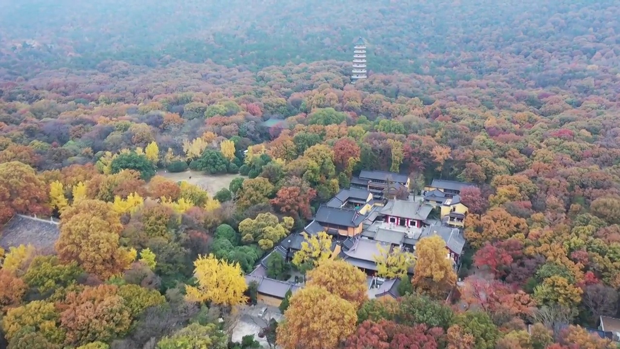 秋意浓浓的南京灵谷寺景区，秋季的南京灵谷寺塔的航拍风光视频素材