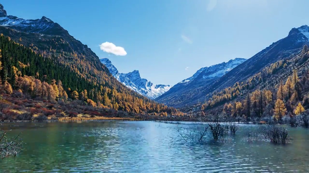 川西小金县玛嘉沟的雪山森林与湖泊视频素材