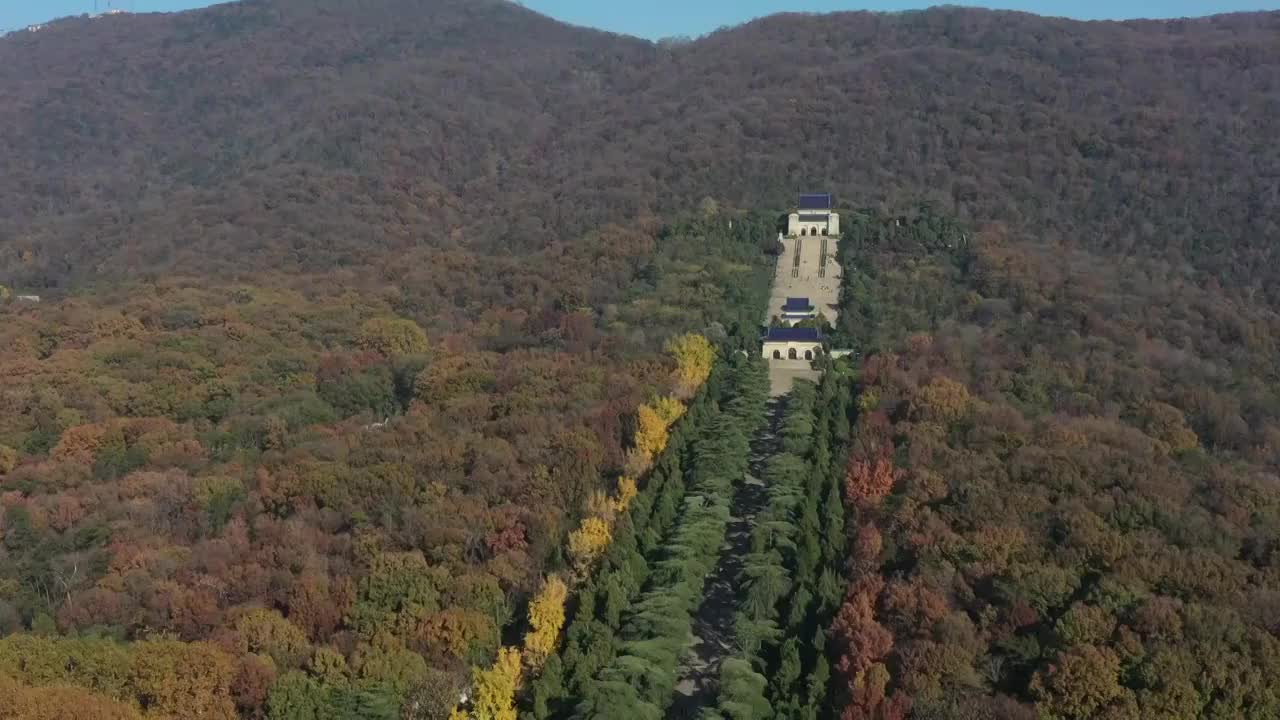 深秋的南京中山陵视频素材