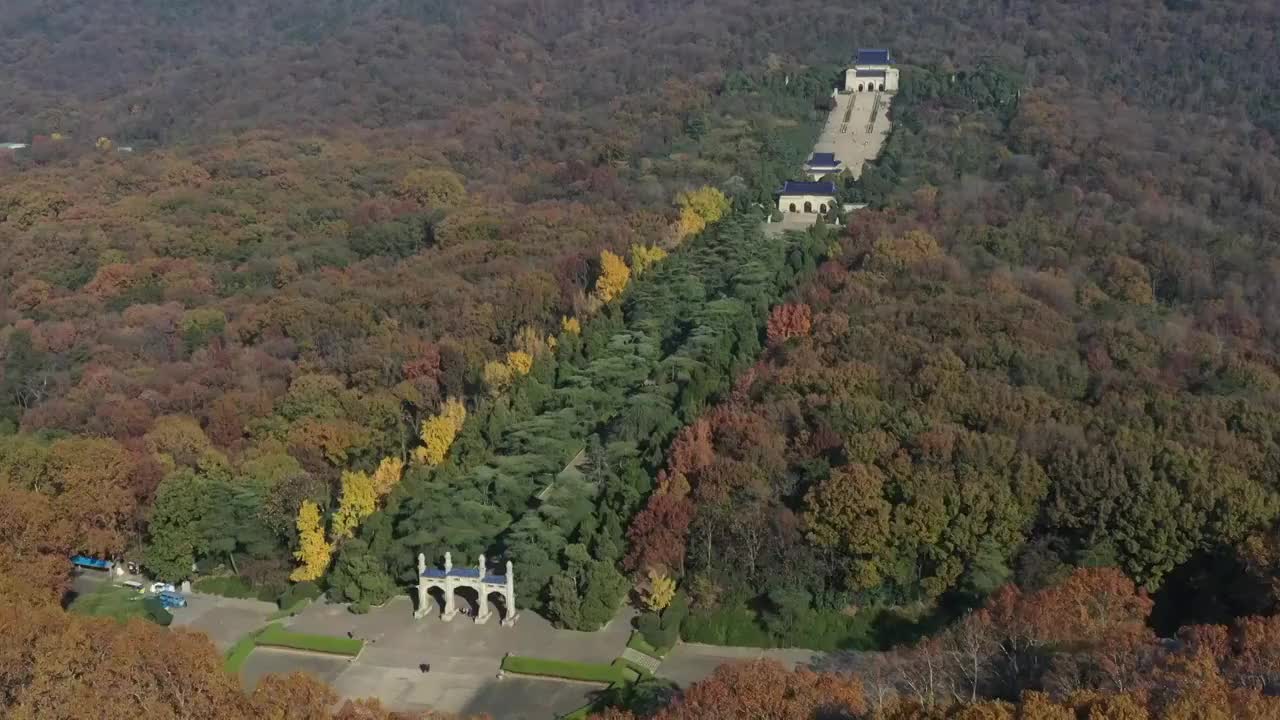 深秋的南京中山陵视频素材