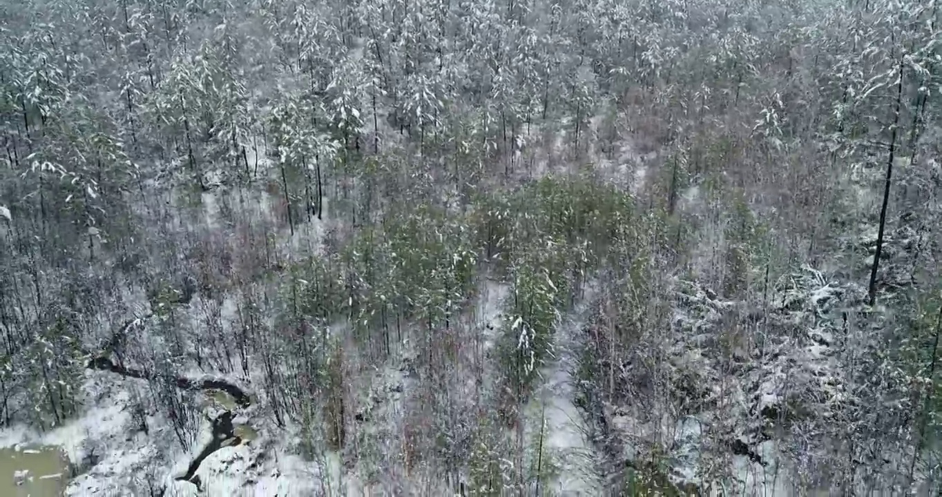 航拍大兴安岭原始森林春雪雾凇视频素材