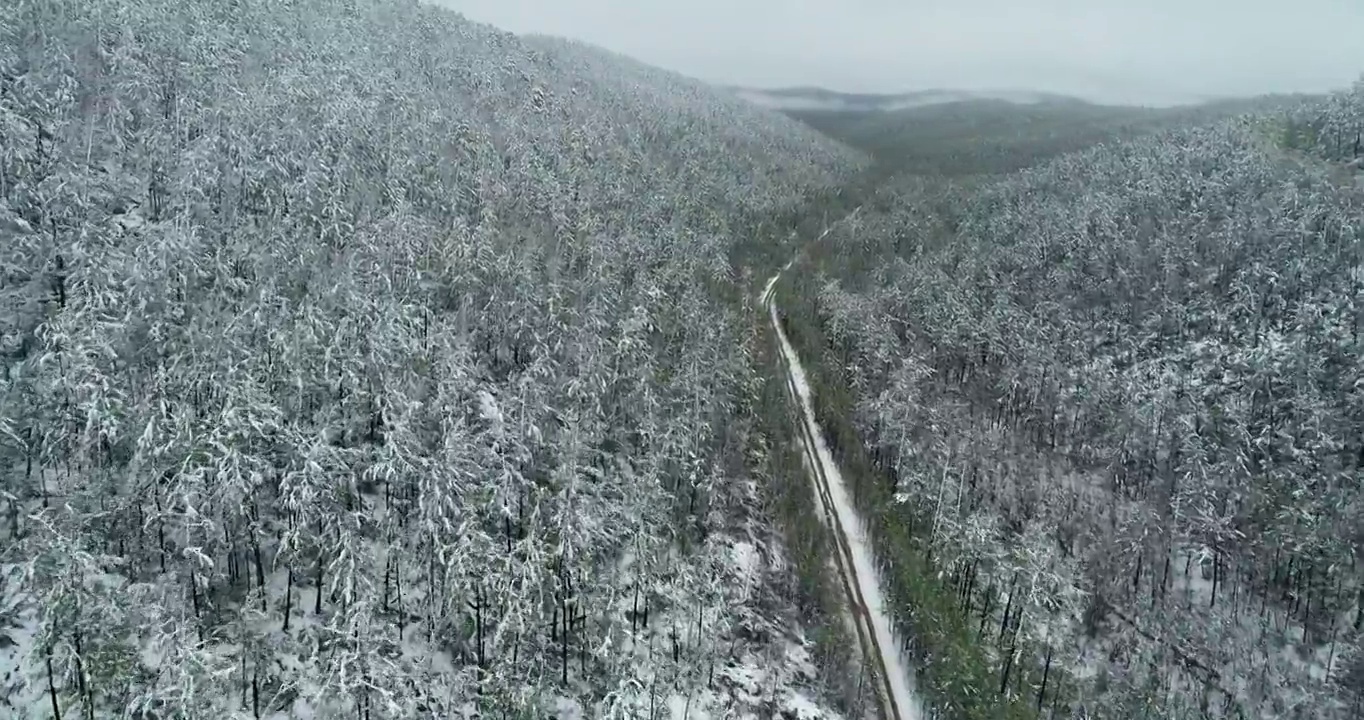 航拍大兴安岭原始森林春雪雾凇视频素材