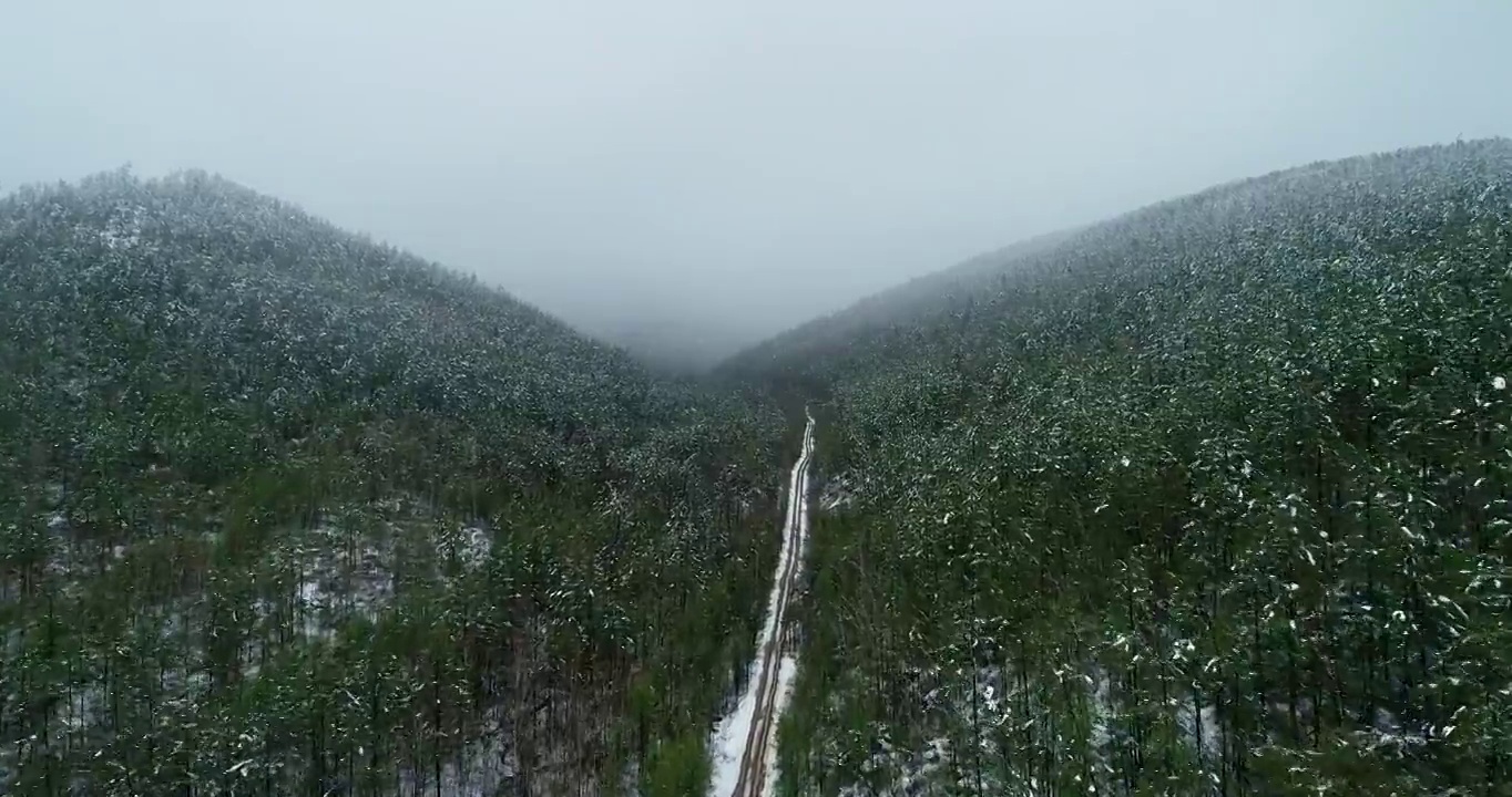 航拍大兴安岭原始森林春雪雾凇视频素材