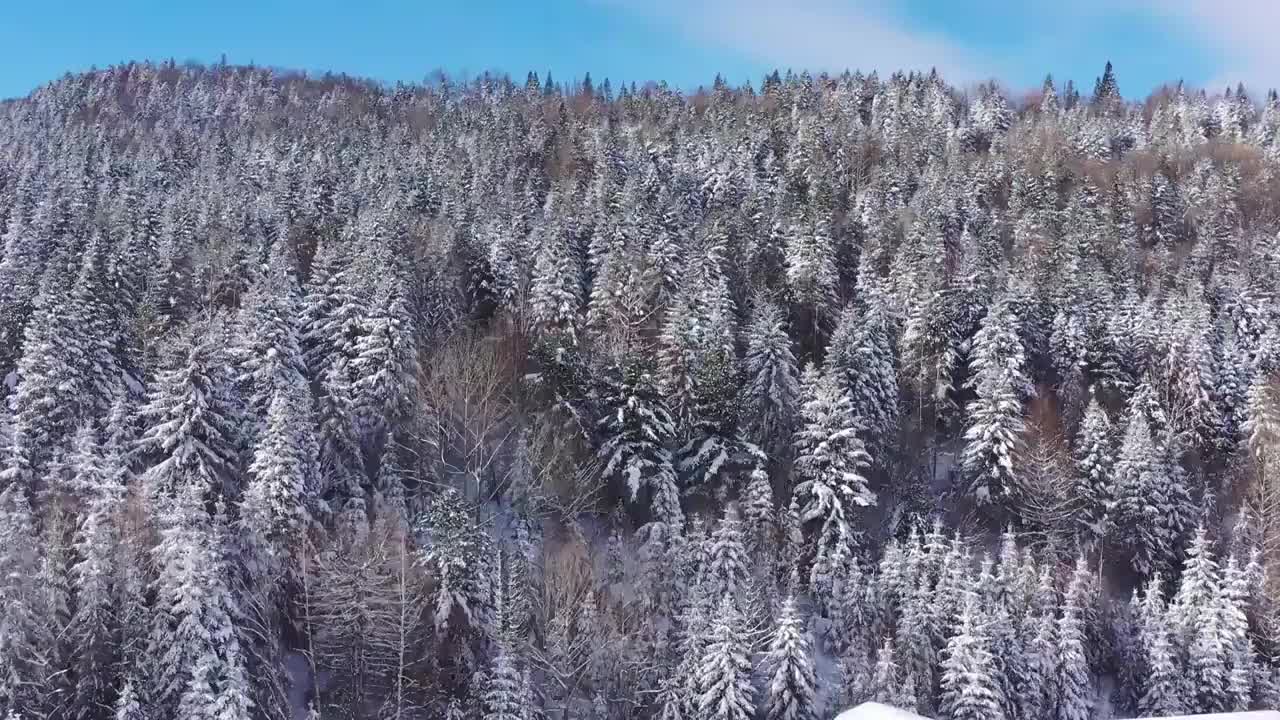 黑龙江牡丹江：航拍雪后的中国雪乡视频素材