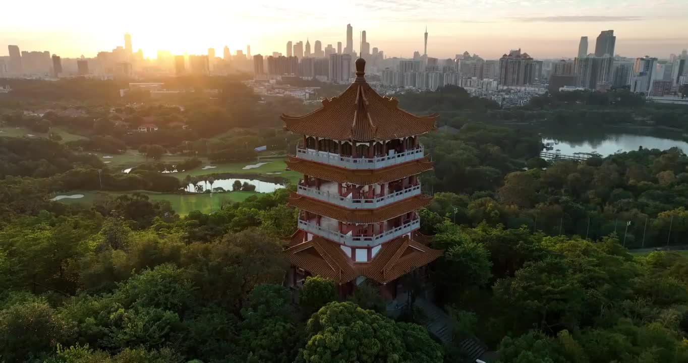 广东省广州市麓湖公园鸿鹄楼日出航拍视频素材