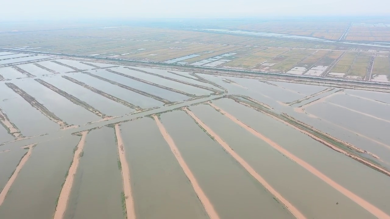 东营，黄河三角洲湿地视频素材